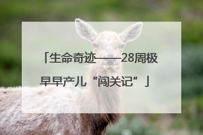 生命奇迹——28周极早早产儿“闯关记”